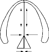 Types of phonation Types of phonation