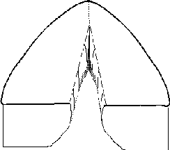Mucosal Wave