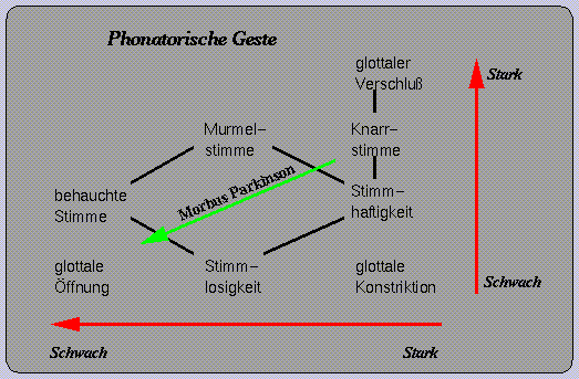 Linguistische Modellierung: Phonatorische Geste