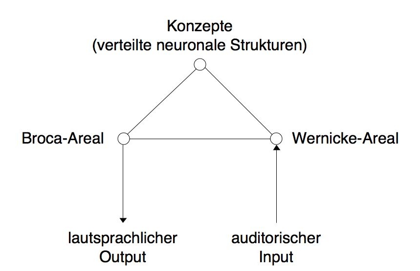 Wernicke-Lichtheim-Schema: Sprachverarbeitung