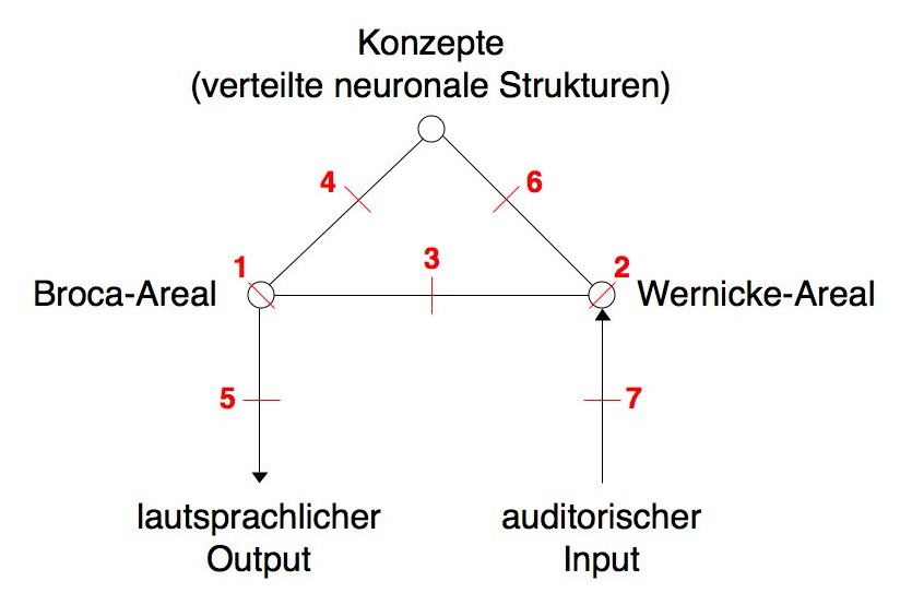 Wernicke-Lichtheim-Schema: Sprachstörungen